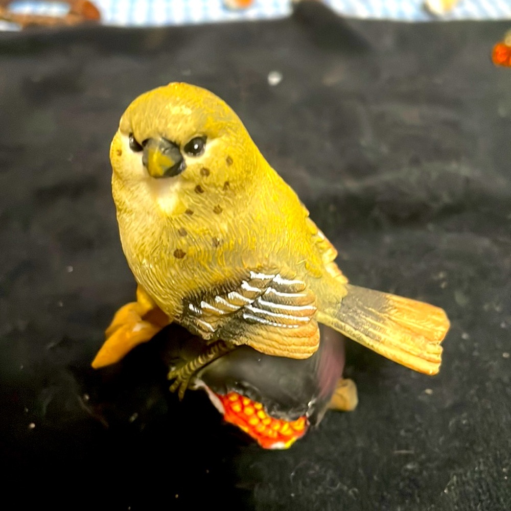 No stamps on this one, just a cute bird to put in your planters